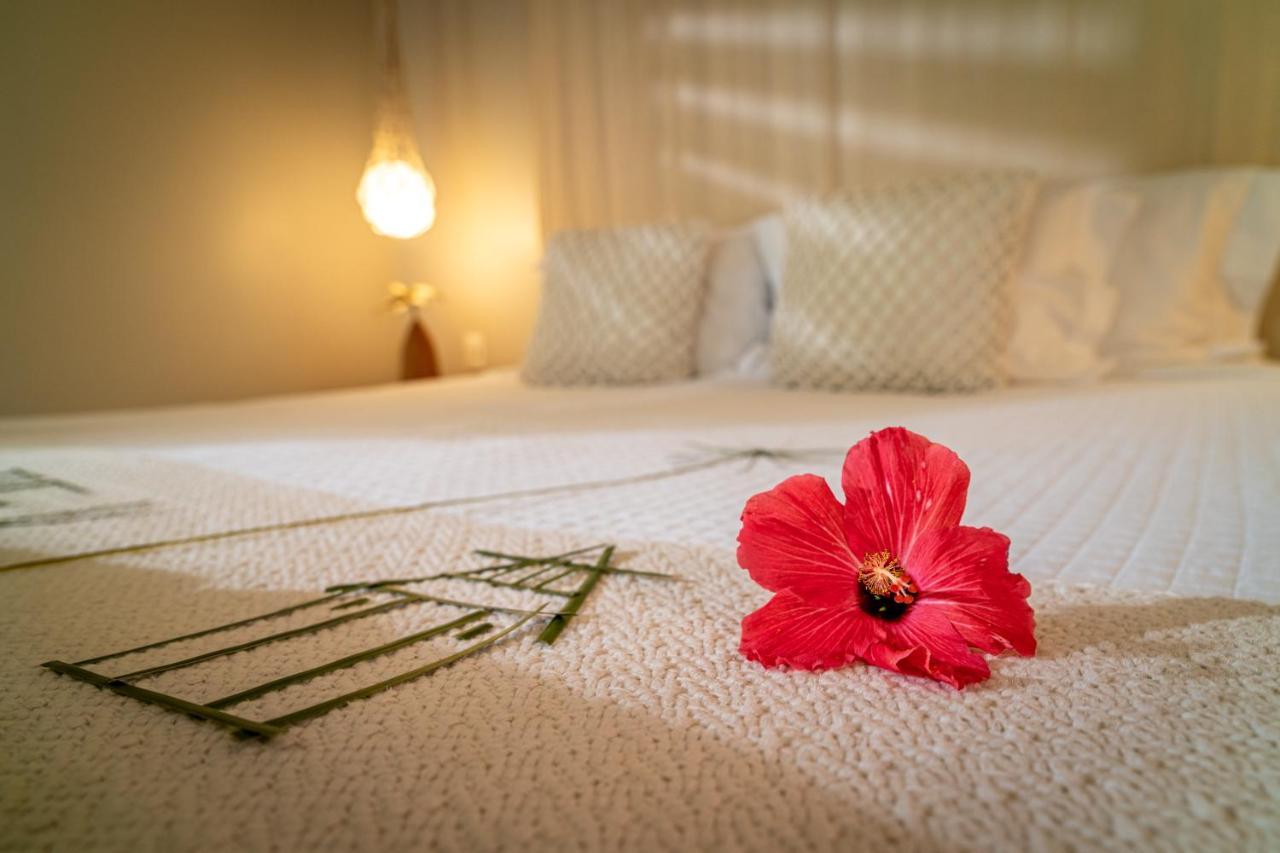 Pontal Dos Carneiros Beach Bungalows Praia dos Carneiros Eksteriør billede
